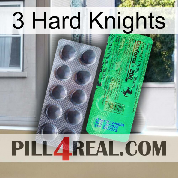 3 Hard Knights new04.jpg